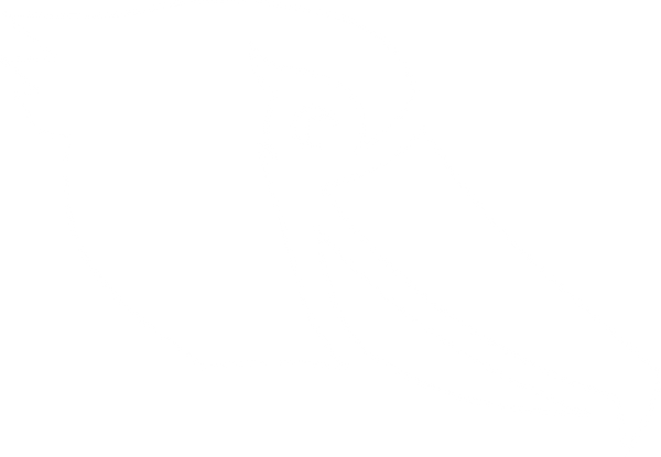 Large Bird logo