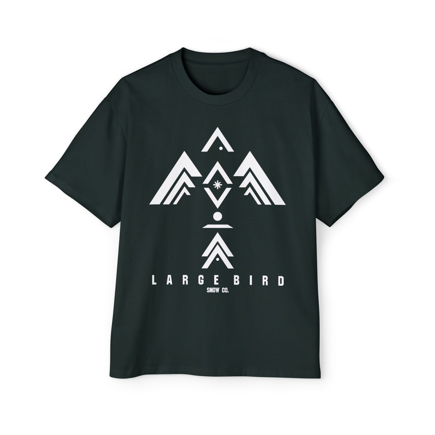 Ascent Oversized Tee