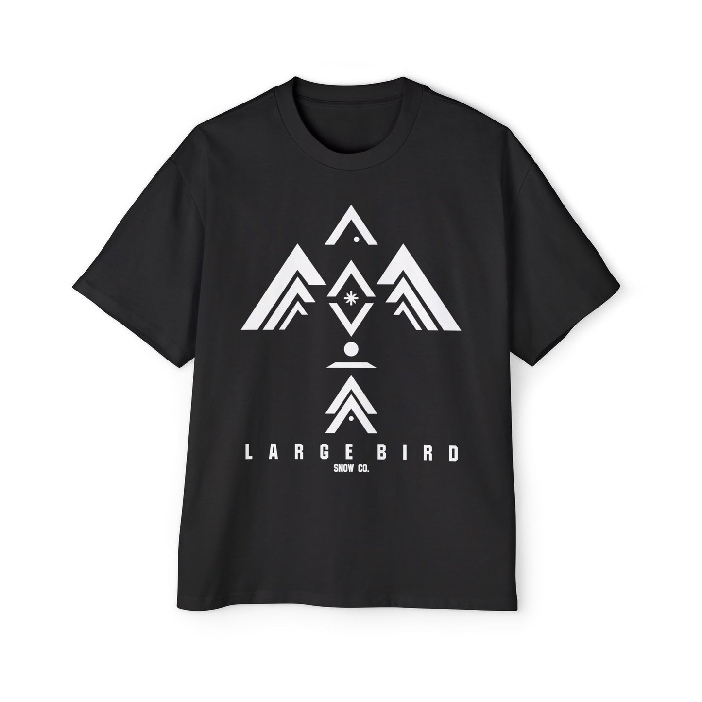 Ascent Oversized Tee